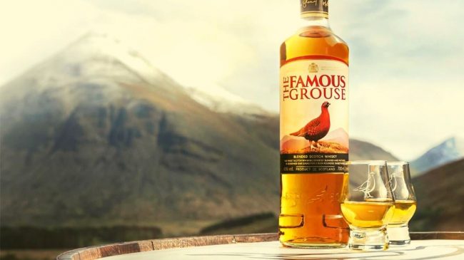 famous grouse blended scotch whisky bottle and glasses