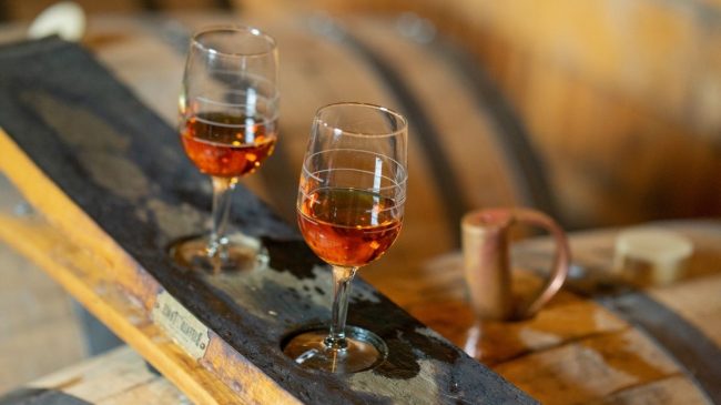 glasses filled with buffalo trace bourbon