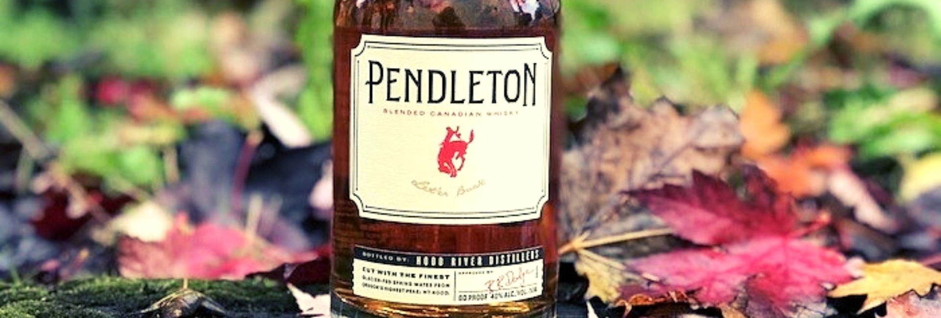 Pendleton Whiskey Review